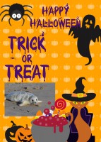 /album/zaproszenia-na-halloween-party/filip-jpg/